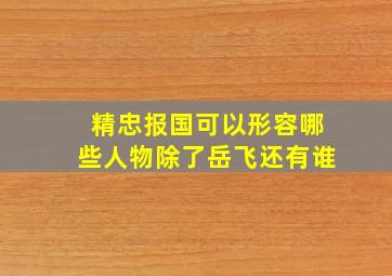 精忠报国可以形容哪些人物除了岳飞还有谁