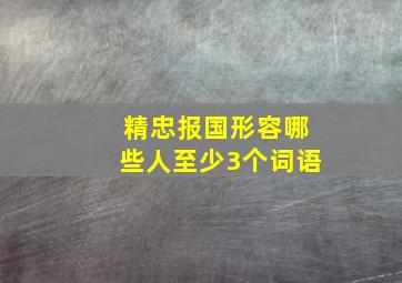 精忠报国形容哪些人至少3个词语