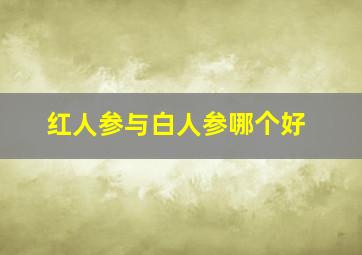 红人参与白人参哪个好