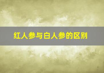 红人参与白人参的区别