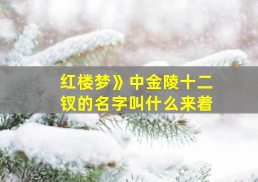 红楼梦》中金陵十二钗的名字叫什么来着