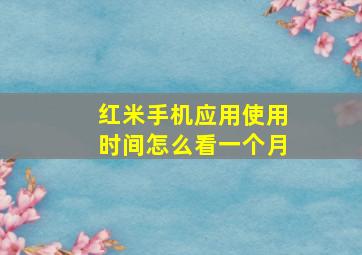 红米手机应用使用时间怎么看一个月