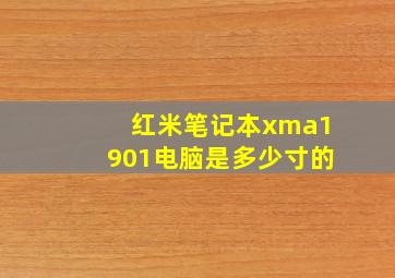 红米笔记本xma1901电脑是多少寸的