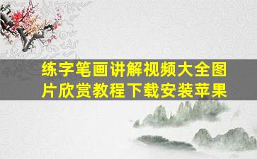 练字笔画讲解视频大全图片欣赏教程下载安装苹果