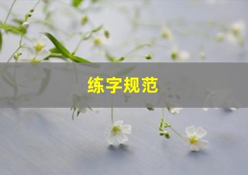 练字规范