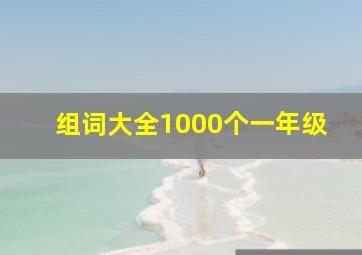 组词大全1000个一年级