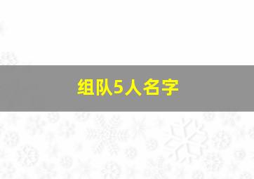 组队5人名字