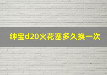 绅宝d20火花塞多久换一次