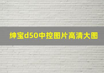 绅宝d50中控图片高清大图