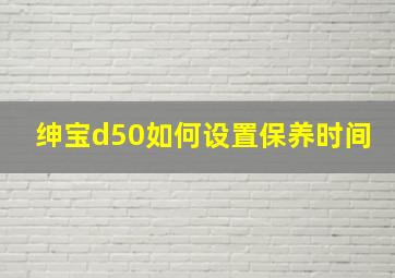 绅宝d50如何设置保养时间