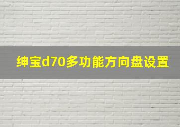 绅宝d70多功能方向盘设置