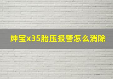 绅宝x35胎压报警怎么消除