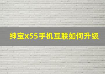 绅宝x55手机互联如何升级