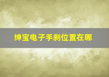 绅宝电子手刹位置在哪