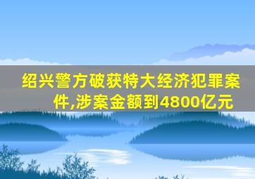 绍兴警方破获特大经济犯罪案件,涉案金额到4800亿元