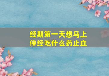 经期第一天想马上停经吃什么药止血