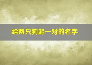 给两只狗起一对的名字