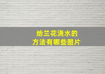 给兰花浇水的方法有哪些图片