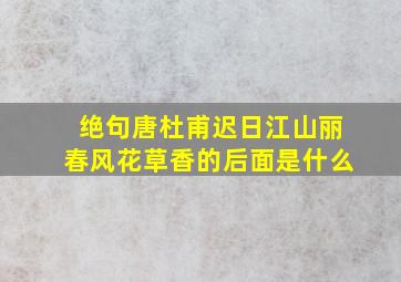 绝句唐杜甫迟日江山丽春风花草香的后面是什么