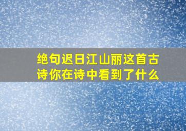 绝句迟日江山丽这首古诗你在诗中看到了什么