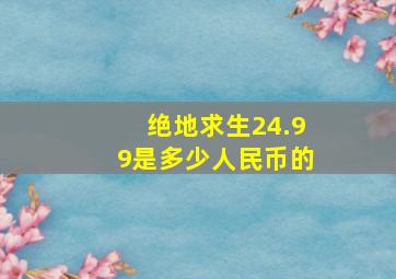 绝地求生24.99是多少人民币的