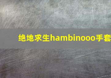 绝地求生hambinooo手套