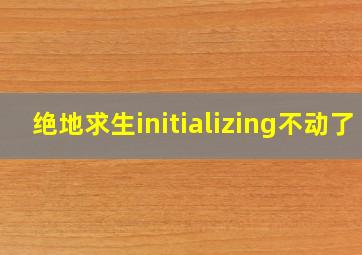 绝地求生initializing不动了