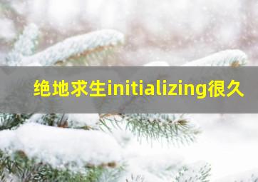 绝地求生initializing很久