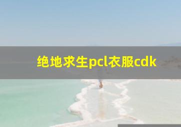 绝地求生pcl衣服cdk