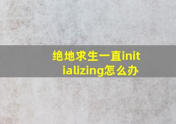 绝地求生一直initializing怎么办