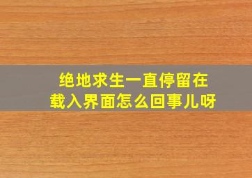 绝地求生一直停留在载入界面怎么回事儿呀