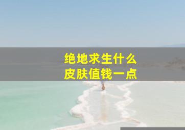 绝地求生什么皮肤值钱一点