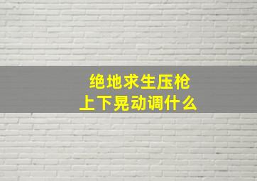 绝地求生压枪上下晃动调什么