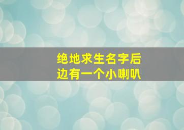 绝地求生名字后边有一个小喇叭