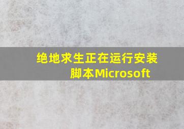 绝地求生正在运行安装脚本Microsoft