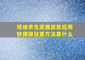 绝地求生武器皮肤应用快捷键设置方法是什么