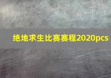 绝地求生比赛赛程2020pcs