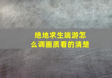 绝地求生端游怎么调画质看的清楚