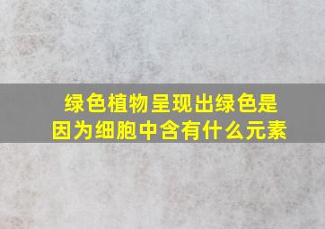 绿色植物呈现出绿色是因为细胞中含有什么元素