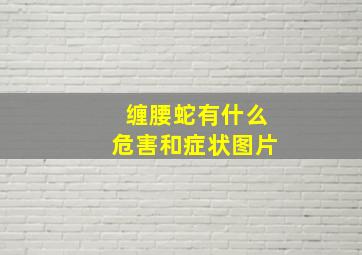 缠腰蛇有什么危害和症状图片