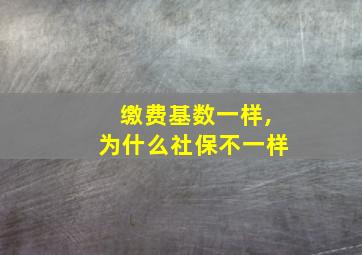 缴费基数一样,为什么社保不一样