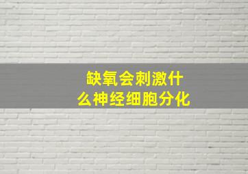 缺氧会刺激什么神经细胞分化