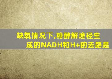 缺氧情况下,糖酵解途径生成的NADH和H+的去路是