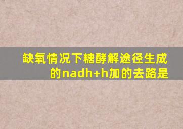 缺氧情况下糖酵解途径生成的nadh+h加的去路是