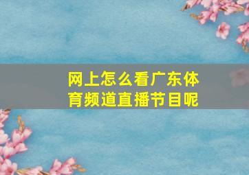 网上怎么看广东体育频道直播节目呢