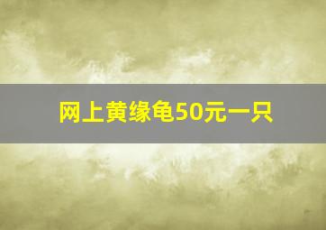 网上黄缘龟50元一只