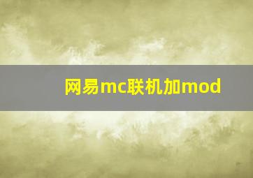 网易mc联机加mod