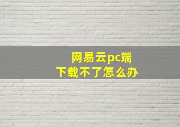 网易云pc端下载不了怎么办