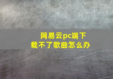 网易云pc端下载不了歌曲怎么办