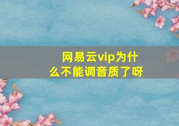 网易云vip为什么不能调音质了呀